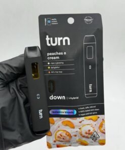 Turn 2G Disposable