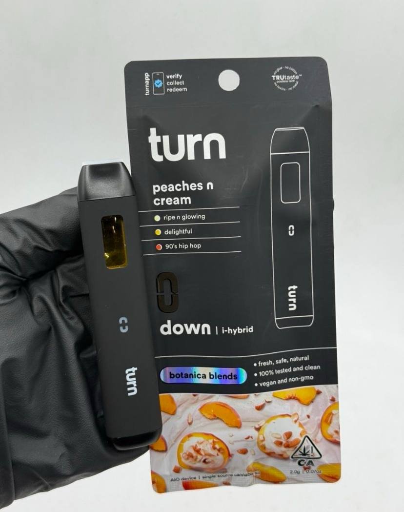 Turn 2G Disposable