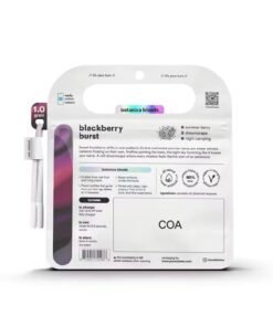 Turn Blackberry Burst 1G disposable online