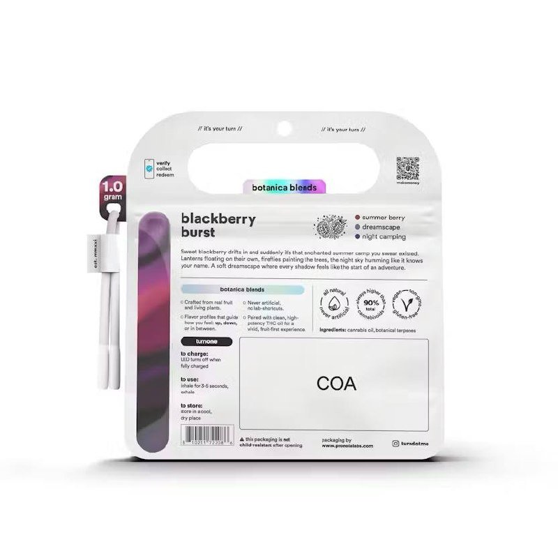 Turn Blackberry Burst disposable online Turn Blackberry Burst 1G disposable price