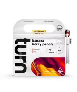 Banana Berry Punch 1G flavor