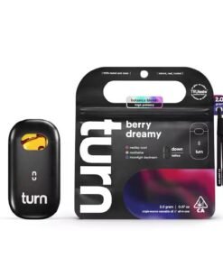 Turn Berry Dreamy 2G AIO disposable vape online